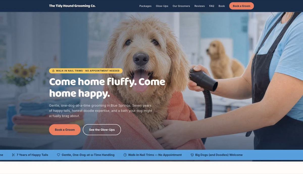 The Tidy Hound Grooming Co. — Dog Groomer website demo by DFPP Agency